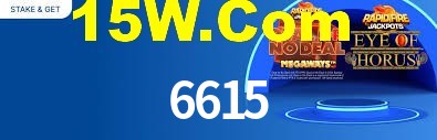 Programa VIP 6615